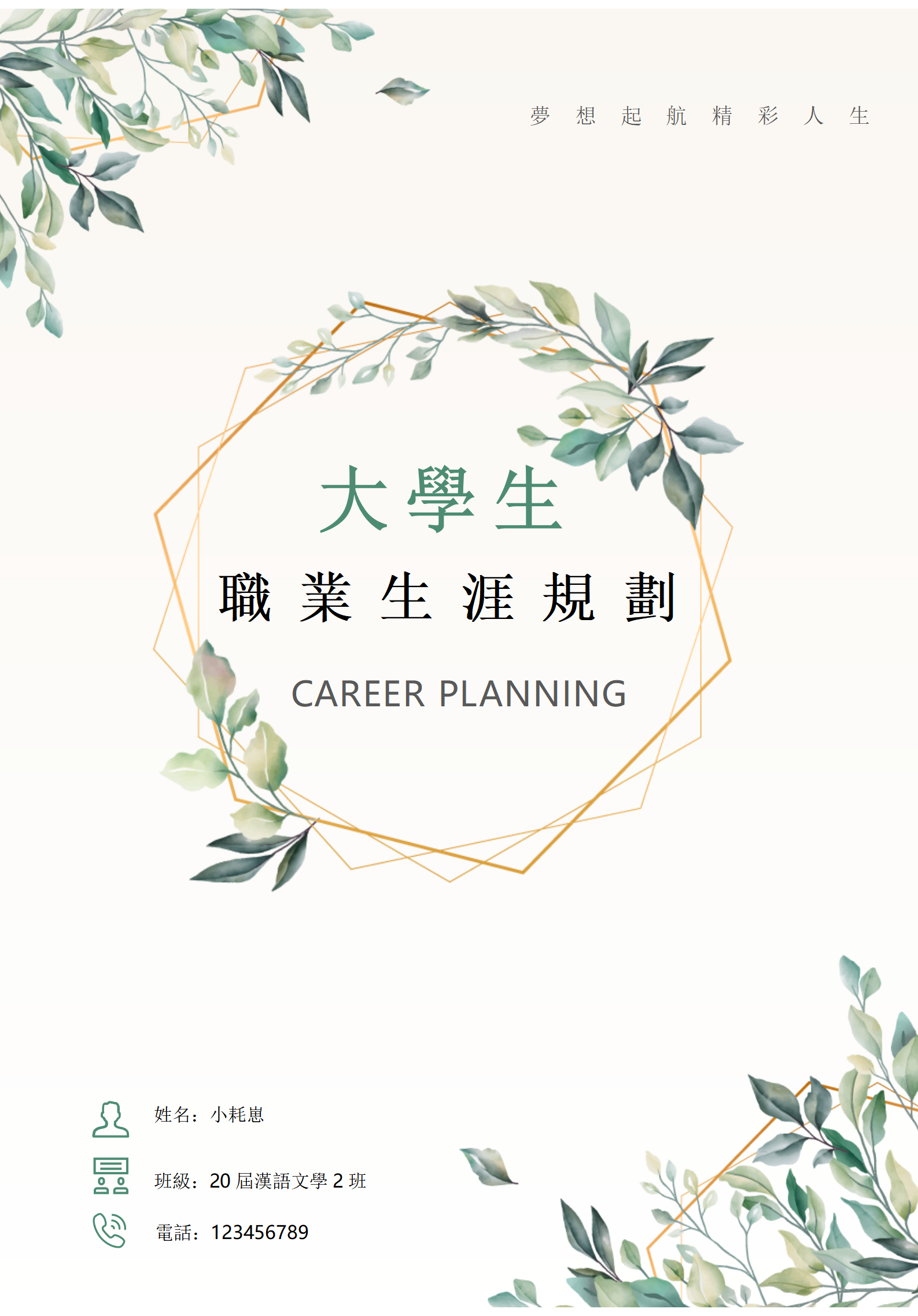 小清新大學生職業生涯規劃書模板